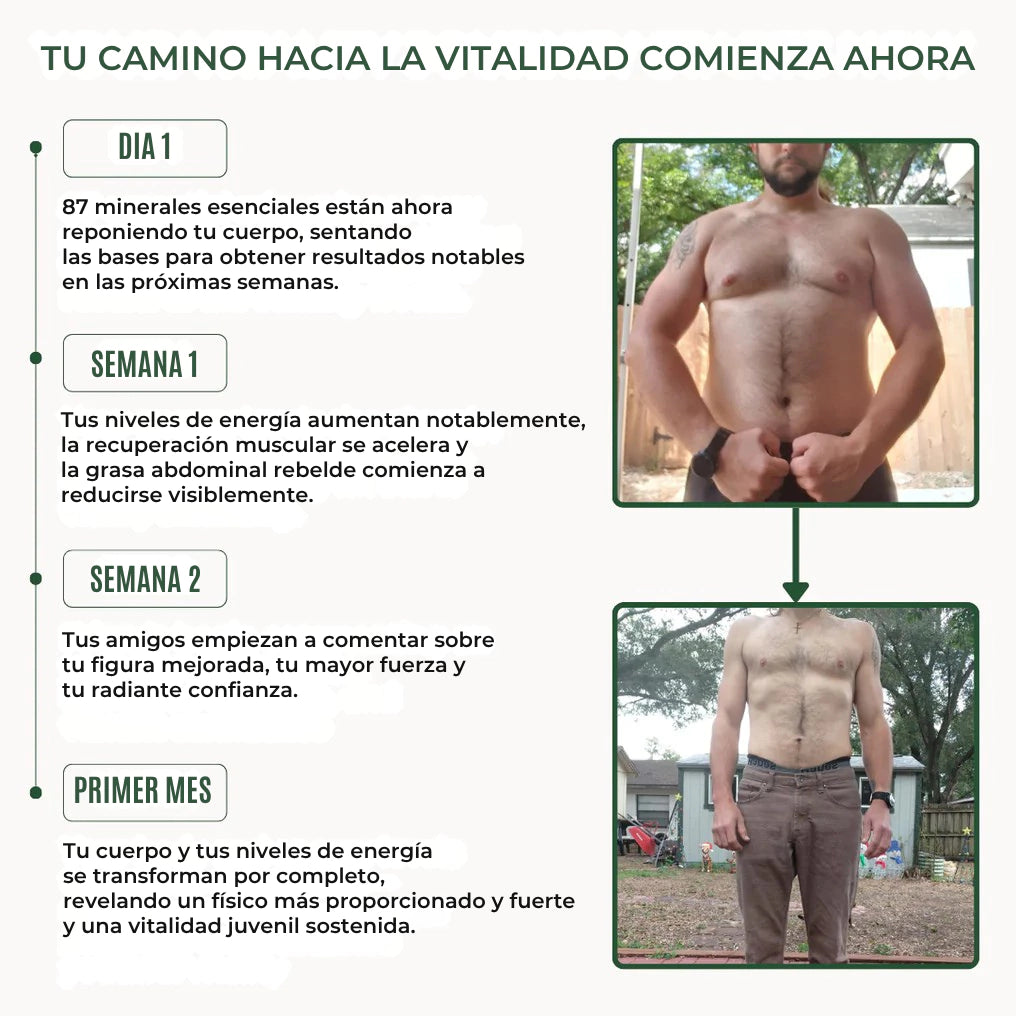 Puro Vitality Boost: Más músculo, menos grasa, más confianza