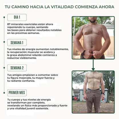 Puro Vitality Boost: Más músculo, menos grasa, más confianza